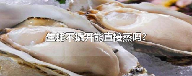 生蚝不撬开能直接蒸吗? 生蚝不撬开能直接蒸吗?
