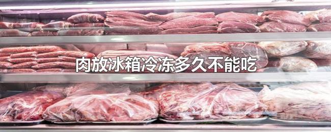 肉放冰箱冷冻多久不能吃 肉放冰箱冷冻多久不能吃
