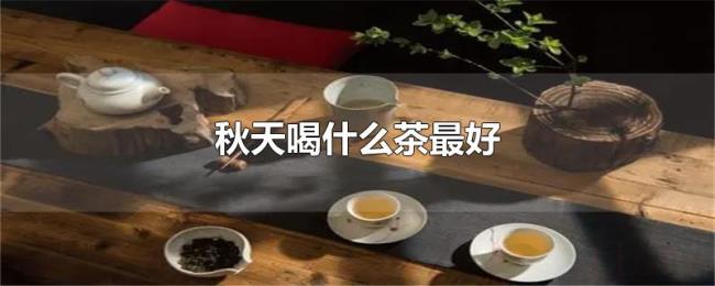 秋天喝什么茶最好