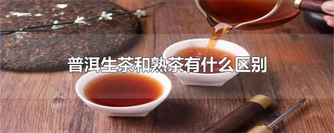 普洱生茶和熟茶有什么区别