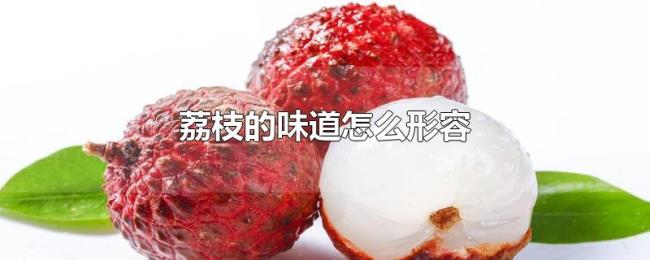 荔枝的味道怎么形容