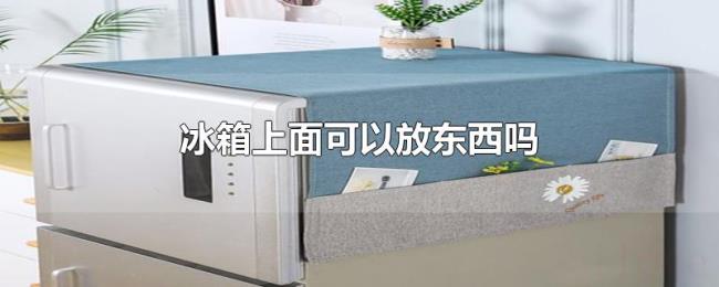 冰箱上面可以放东西吗 冰箱上面可以放东西吗