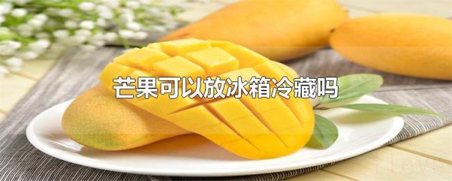 芒果可以放冰箱冷藏吗
