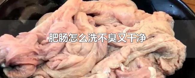 肥肠怎么洗不臭又干净 肥肠怎么洗不臭又干净