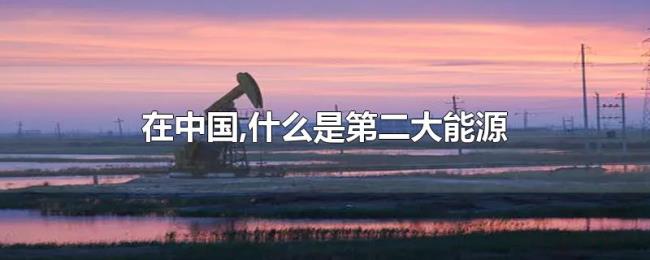 在中国,什么是第二大能源