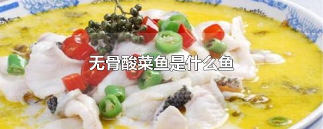 无骨酸菜鱼是什么鱼 无骨酸菜鱼是什么鱼