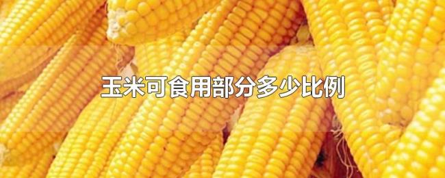 玉米可食用部分多少比例