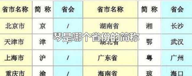琴是哪个省份的简称 琴是哪个省份的简称