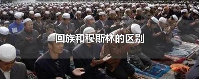 回族和穆斯林的区别 回族和穆斯林的区别