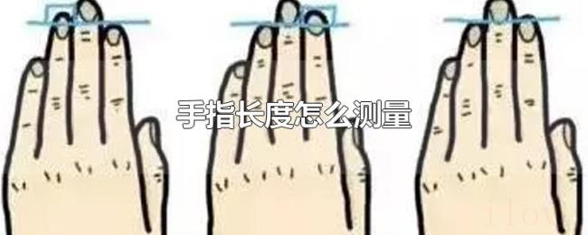 手指长度怎么测量