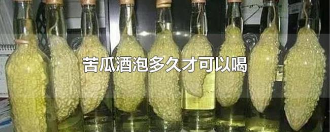 苦瓜酒泡多久才可以喝