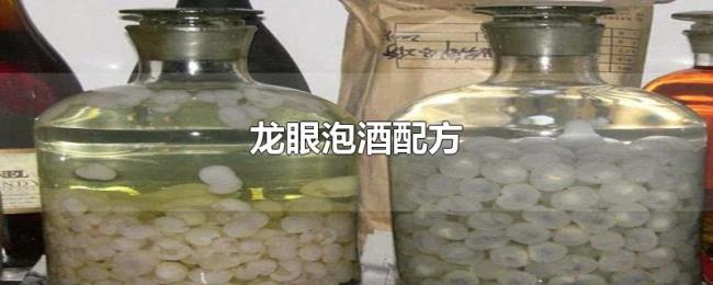 龙眼泡酒配方 龙眼泡酒配方