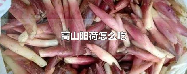 高山阳荷怎么吃 高山阳荷怎么吃