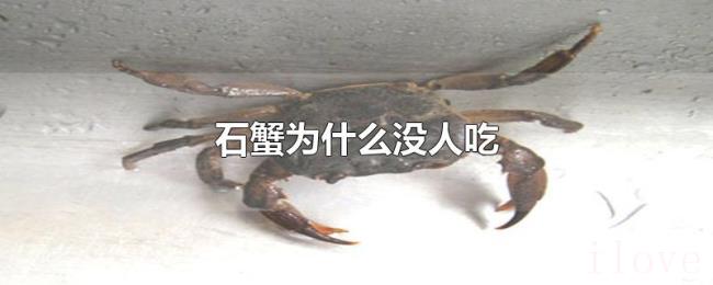 石蟹为什么没人吃 石蟹为什么没人吃