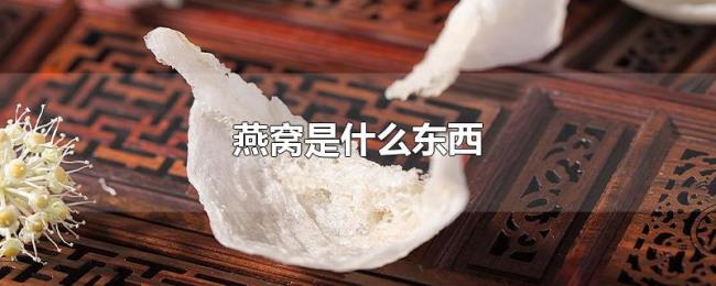 燕窝是什么东西 燕窝是什么东西