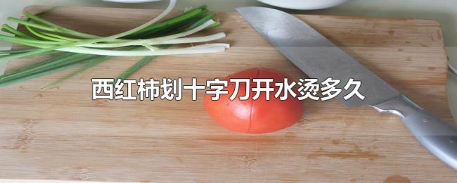 西红柿划十字刀开水烫多久