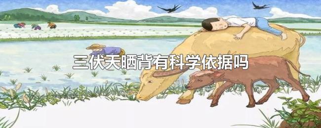 三伏天晒背有科学依据吗