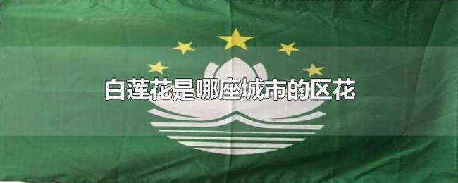 白莲花是哪座城市的区花 白莲花是哪座城市的区花
