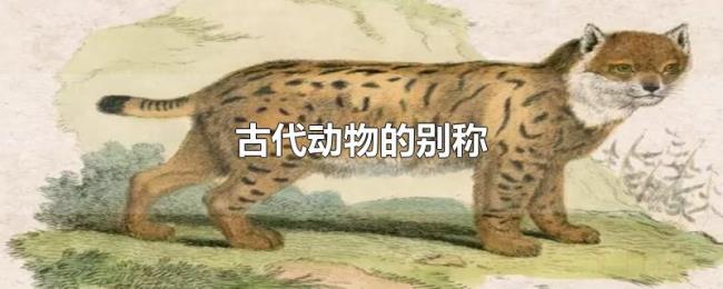 古代动物的别称 古代动物的别称