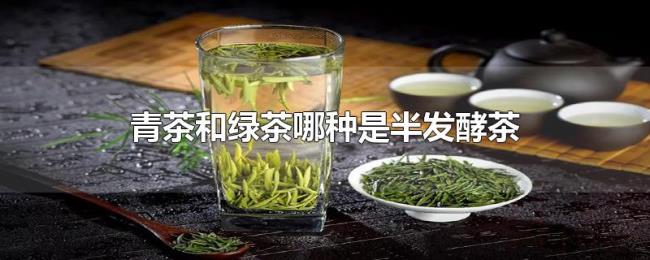 青茶和绿茶哪种是半发酵茶