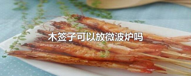 木签子可以放微波炉吗