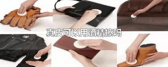 真皮可以用酒精擦吗 真皮可以用酒精擦吗