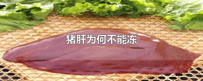 猪肝为何不能冻 猪肝为何不能冻