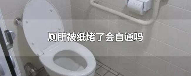 厕所被纸堵了会自通吗 厕所被纸堵了会自通吗