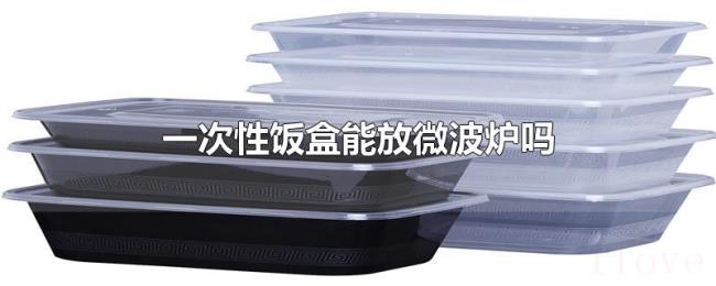 一次性饭盒能放微波炉吗 一次性饭盒能放微波炉吗