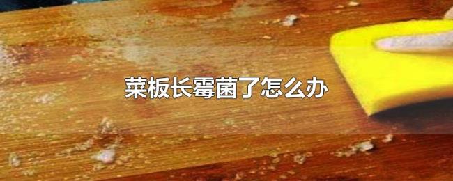 菜板长霉菌了怎么办