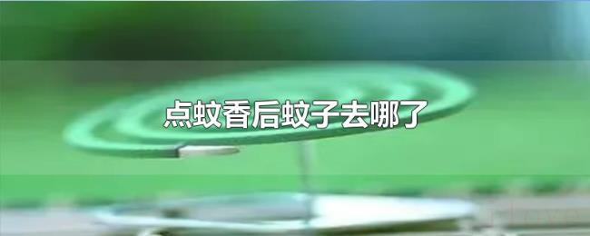 点蚊香后蚊子去哪了