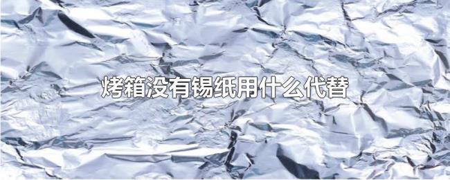 烤箱没有锡纸用什么代替 烤箱没有锡纸用什么代替