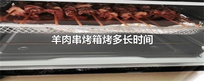 羊肉串烤箱烤多长时间