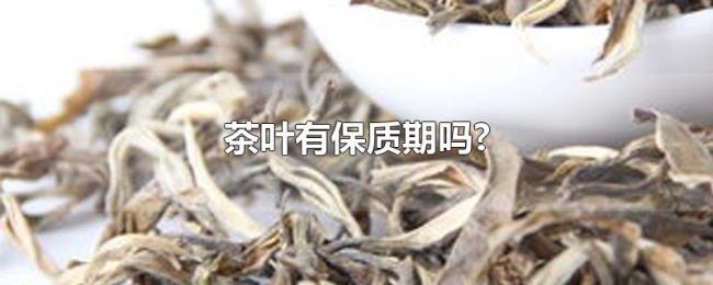 茶叶有保质期吗? 茶叶有保质期吗?