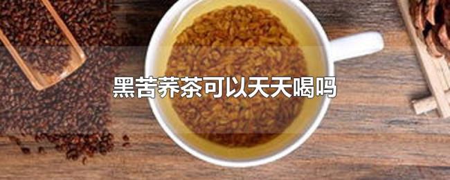 黑苦荞茶可以天天喝吗 黑苦荞茶可以天天喝吗