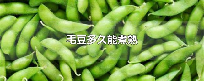 毛豆多久能煮熟 毛豆多久能煮熟