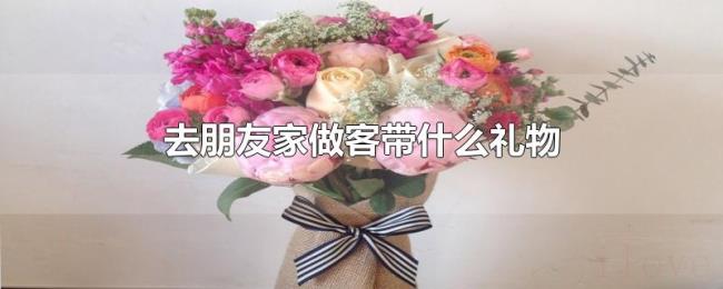 去朋友家做客带什么礼物 去朋友家做客带什么礼物