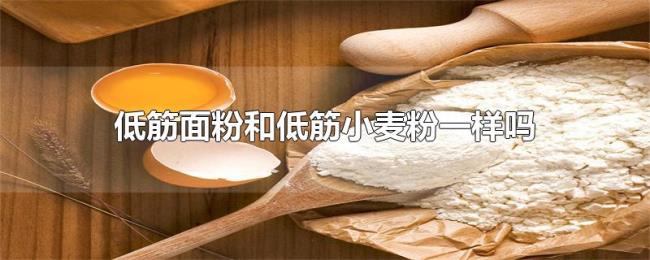 低筋面粉和低筋小麦粉一样吗 低筋面粉和低筋小麦粉一样吗