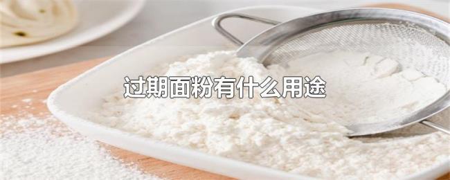 过期面粉有什么用途
