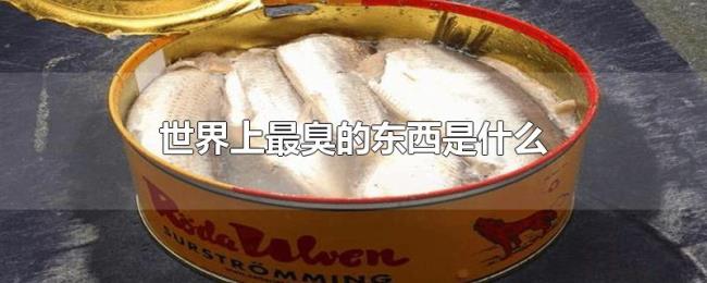 世界上最臭的东西是什么