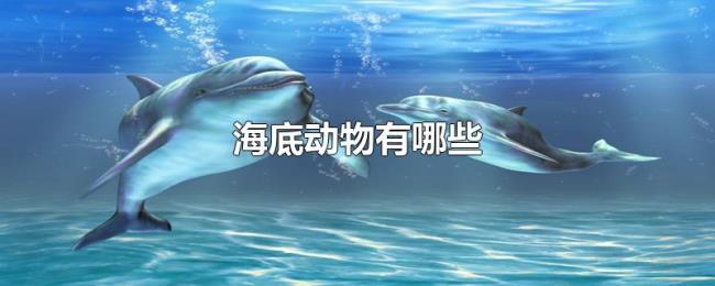 海底动物有哪些 海底动物有哪些