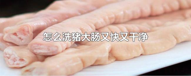 怎么洗猪大肠又快又干净