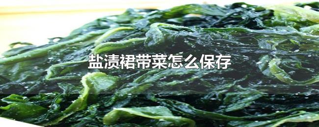 盐渍裙带菜怎么保存 盐渍裙带菜怎么保存