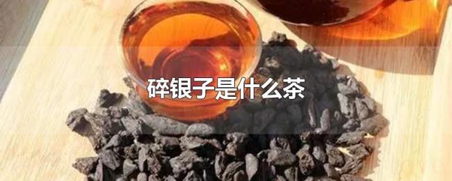 碎银子是什么茶
