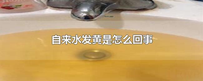 自来水发黄是怎么回事 自来水发黄是怎么回事