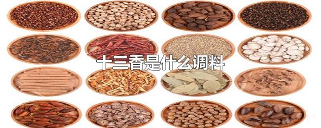 十三香是什么调料 十三香是什么调料