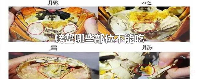 螃蟹哪些部位不能吃 螃蟹哪些部位不能吃
