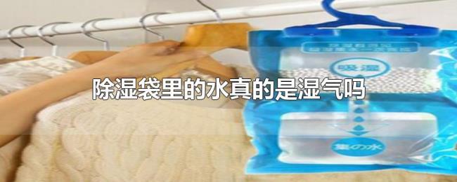 除湿袋里的水真的是湿气吗 除湿袋里的水真的是湿气吗