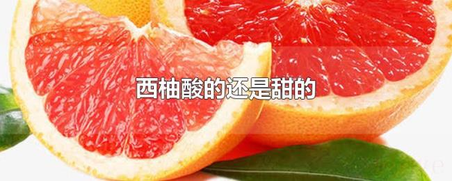 西柚酸的还是甜的 西柚酸的还是甜的