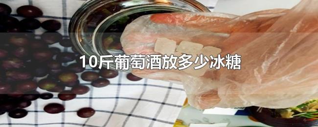 10斤葡萄酒放多少冰糖 10斤葡萄酒放多少冰糖